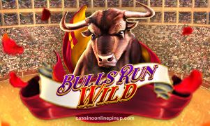 Bulls Run Wild slot no pin up cassino